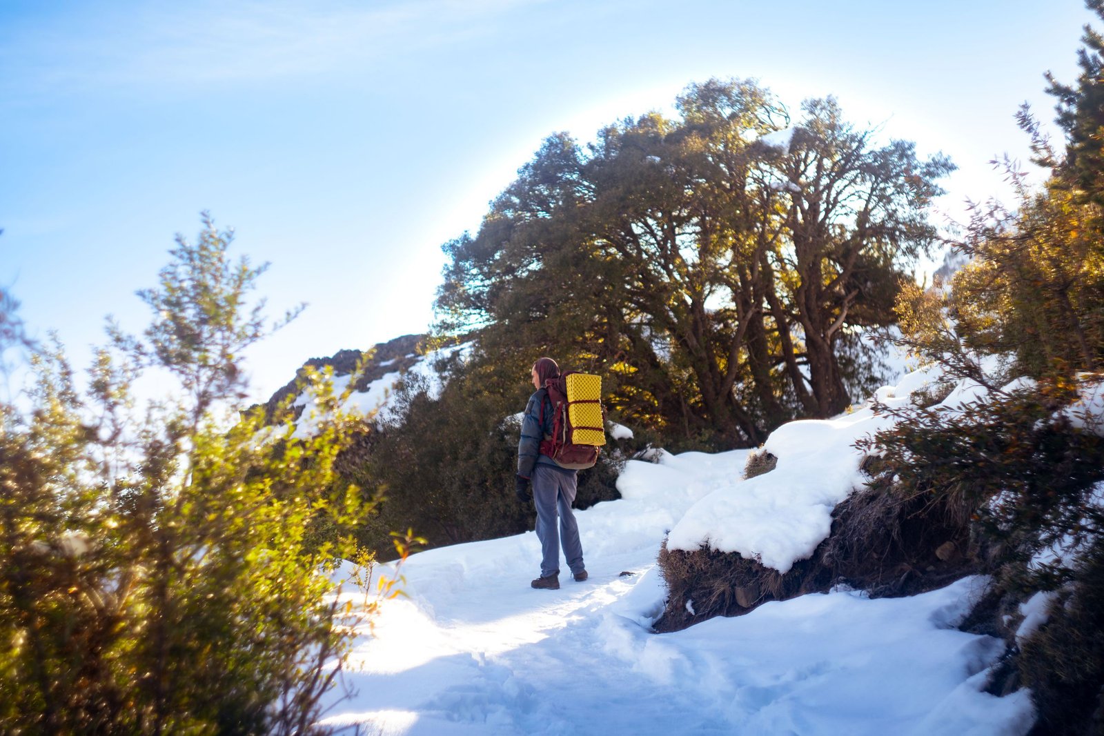 A person hiking through a snowy trail in El Bolsón, Argentina, surrounded by trees under a blue sky.