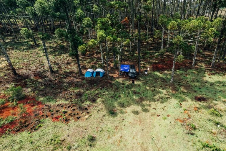 Aerial shot of tents and a car camped amidst lush forest trees.